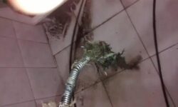 Guia Completo sobre Desentupimento de Raízes em Sistemas de Esgoto