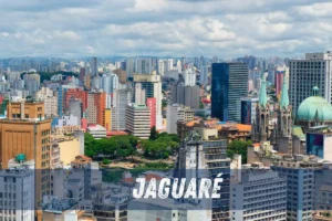 desentupidora no jaguaré