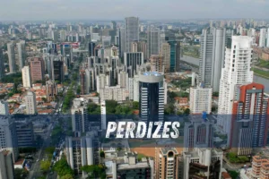desentupidora na perdizes