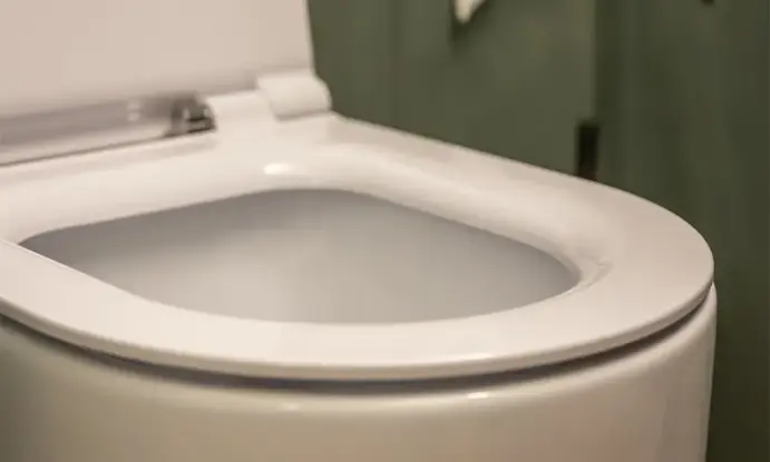5 sinais de que seu vaso sanitário vai entupir